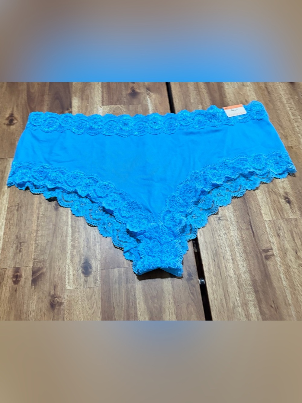 NWT Cacique Hot Short Panty Lace in Blue Size 18/20